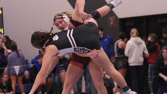 AHS to Send Three Wrestlers to State Tournament