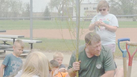 Arbor Day Brings Tree Planting in Sterling