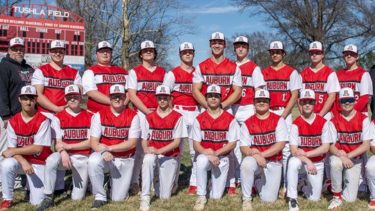 Auburn Bulldog Baseball