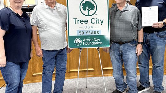 Auburn Celebrates Unique Milestone: 50 Years as Tree City USA Community