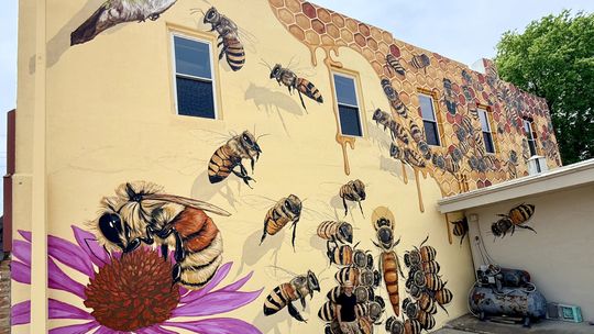 Buzz-Worthy: Auburn’s Honeybee Mural is Complete