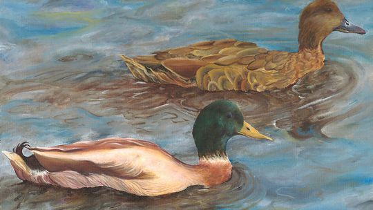 Charlotte Metschke Wins Best of Show