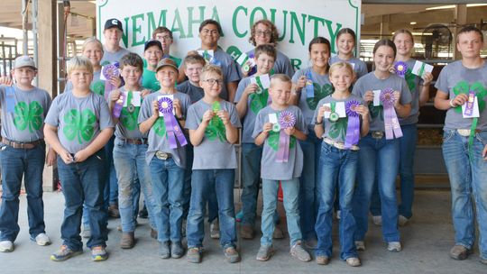 Eighteen Compete in BB Gun Contest