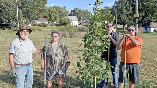 Julian, Village Preservation Committee Receive Seven Trees For Village-Wide Arboretum