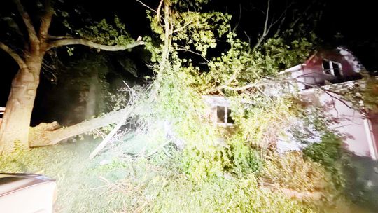 Village of Cook Declares Disaster after July 3, 2026 Storm