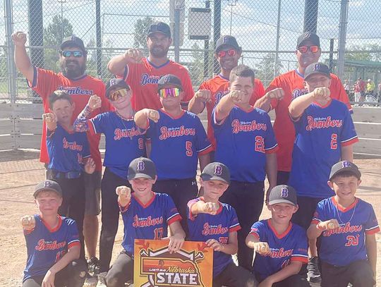 11u Bombers Win State Baseball Championship