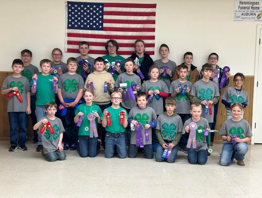 2026 4-H Contests Open With 25 Shooters in Air Rifle, Air Pistol