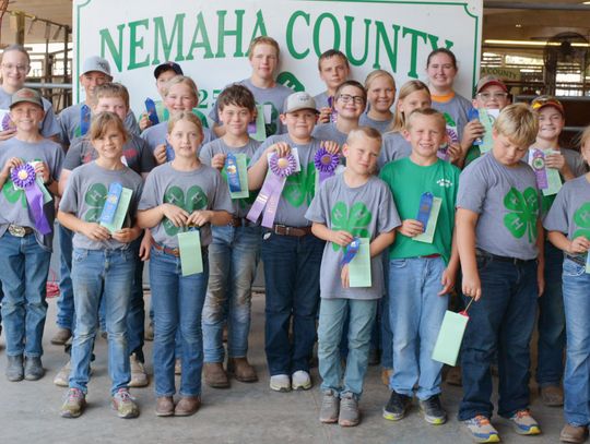 Archery Contest Has 22 4-H’ers