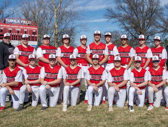 Auburn Bulldog Baseball