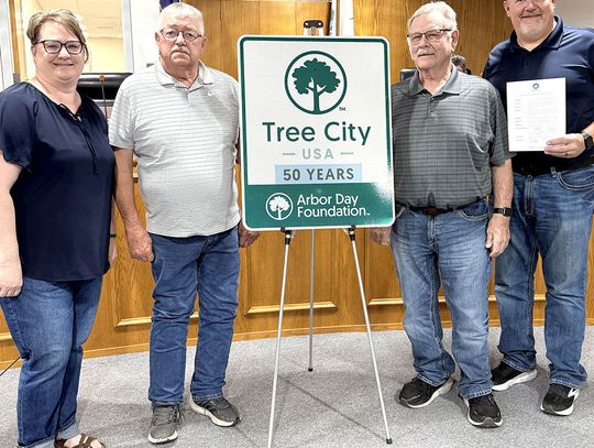 Auburn Celebrates Unique Milestone: 50 Years as Tree City USA Community