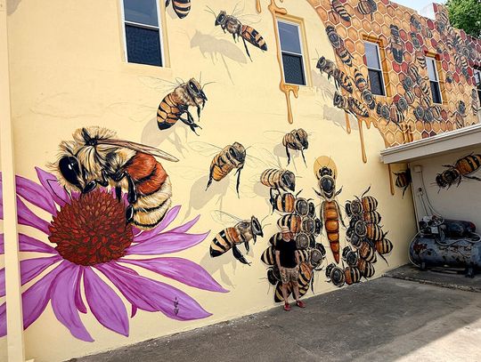 Auburn Honeybee Mural Lands on Cover of State Report