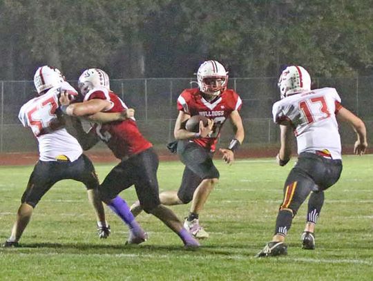 Bulldog Defense Shuts Out Third Straight Opponent; Trounces Jeffs 41-0