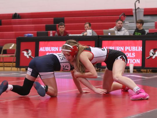 Bulldog Wrestlers Keep the Wins Coming
