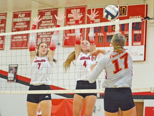 Bulldogs Fall to Fairbury at Home; Place Second in Tournament at Weeping Water