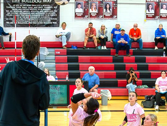 Bulldogs Go 2-1 at Ashland-Greenwood Tournament