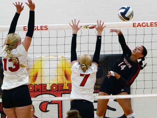 Bulldogs Overcome Lady Eagles for Sixth Straight Win Behind Taylor’s Versatility
