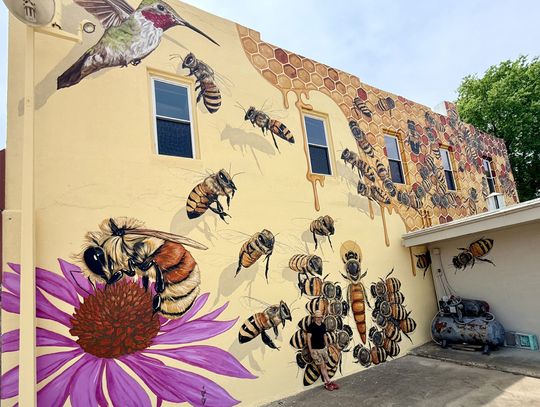 Buzz-Worthy: Auburn’s Honeybee Mural is Complete