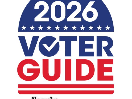 Candidates for District 29 Board of Education