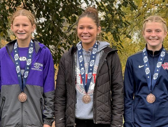 Crotty Adds Fourth Straight Top-10 Finish; Bulldogs Come in Fourth at State Cross Country