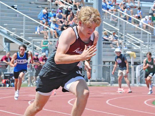 Darnell Wins District Titles in Hurdles, Amongst Five Auburn State Qualifiers