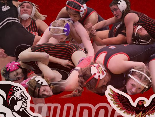 Girls State Wrestling HQ