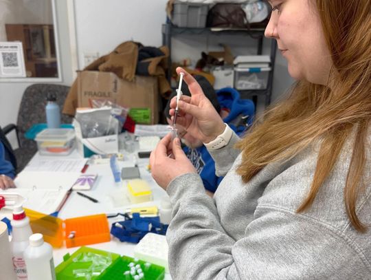 Hearts United for Animals Supports Groundbreaking Research to Protect Shelter Dogs