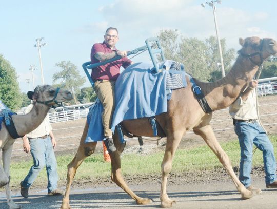 Johnson County Fair Brings Summer Fun!