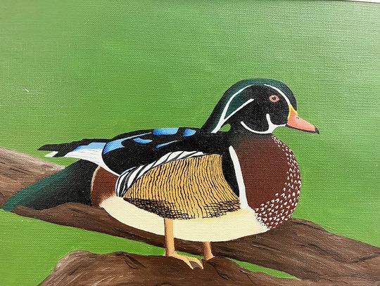 Nine Johnson-Brock Student-Artists in Top Three of Junior Duck Stamp Art Competition