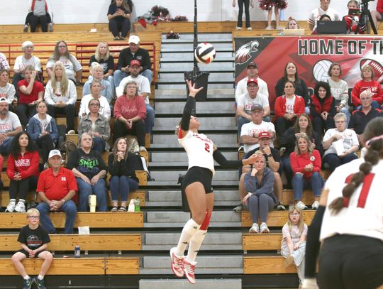 Pelican Records 21 Kills in Win over Diller-Odell