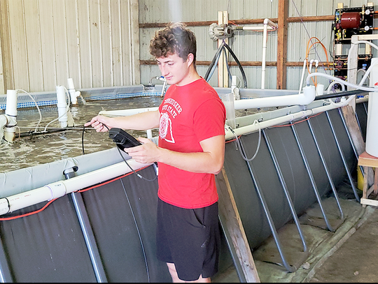 Shrimp Farm Becomes Long-Term Business for Nolan Wellensiek