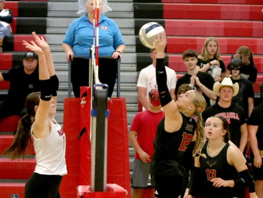 Thunderbirds Top Bulldogs in Four Sets