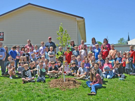 Tree Planting, Book Presentation Highlight Arbor Day in Auburn