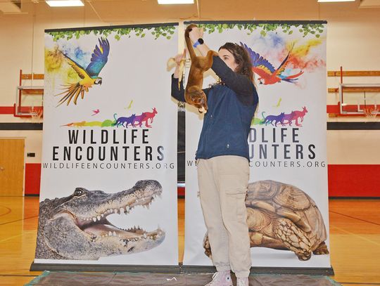 Wildlife Encounters Bring Various Animals To Calvert Families; Will be at Auburn Memorial Library April 13