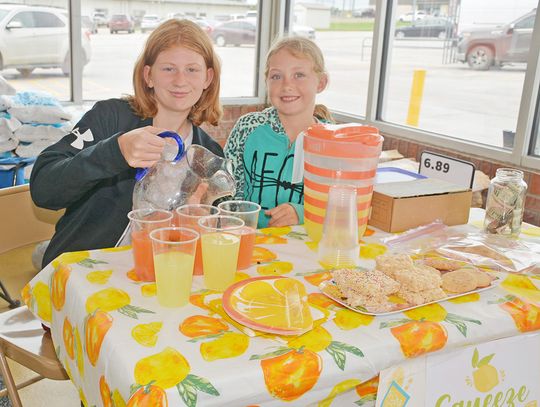 Young Entrepreneurs Sell Lemonade During Auburn Slice of Summer Days