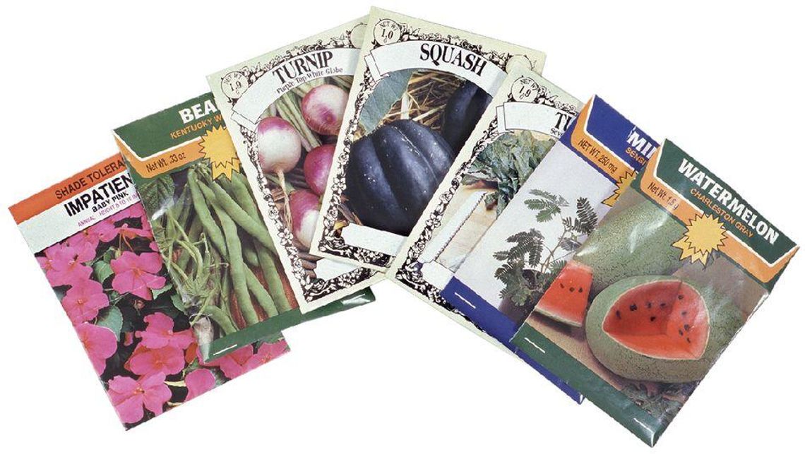 All the Basics for Starting Seeds Indoors