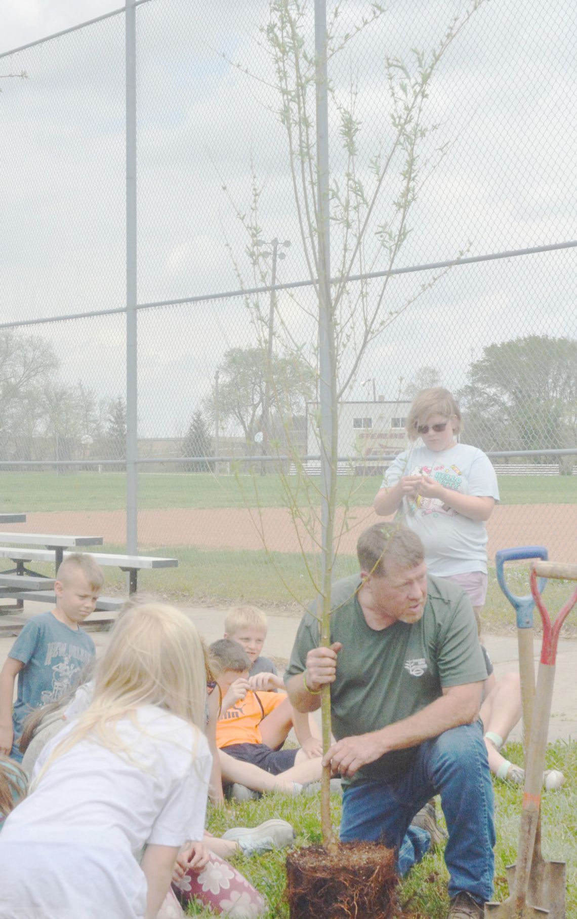 Arbor Day Brings Tree Planting in Sterling