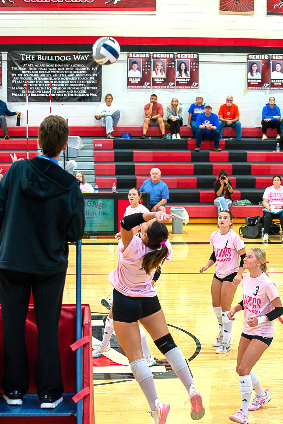 Bulldogs Go 2-1 at Ashland-Greenwood Tournament Bulldogs Go 2-1 at Ashland-Greenwood Tournament