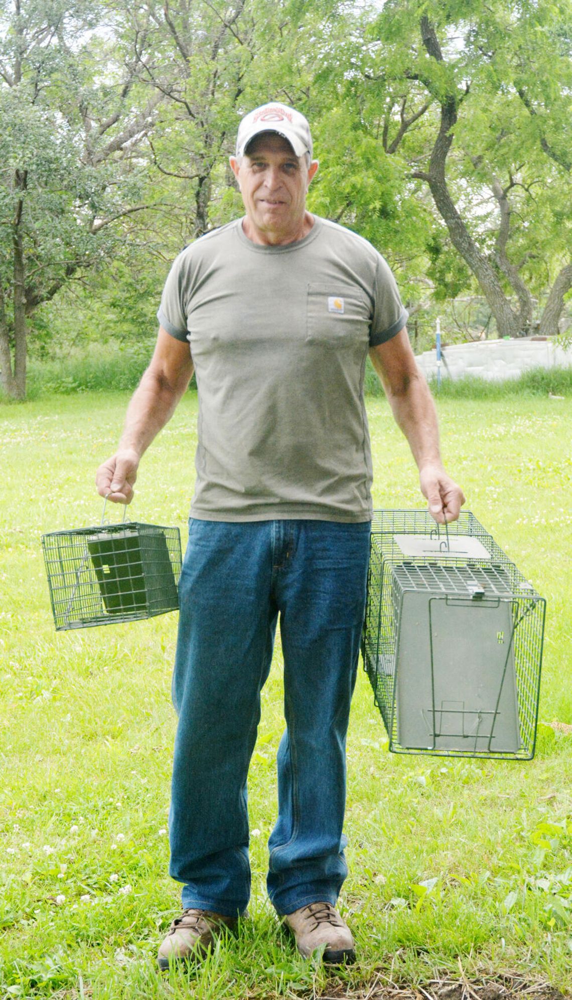 Helmick Gets Rid of Pesky Wildlife with Live Action Critter Control Business Helmick Gets Rid of Pesky Wildlife with Live Action Critter Control Business