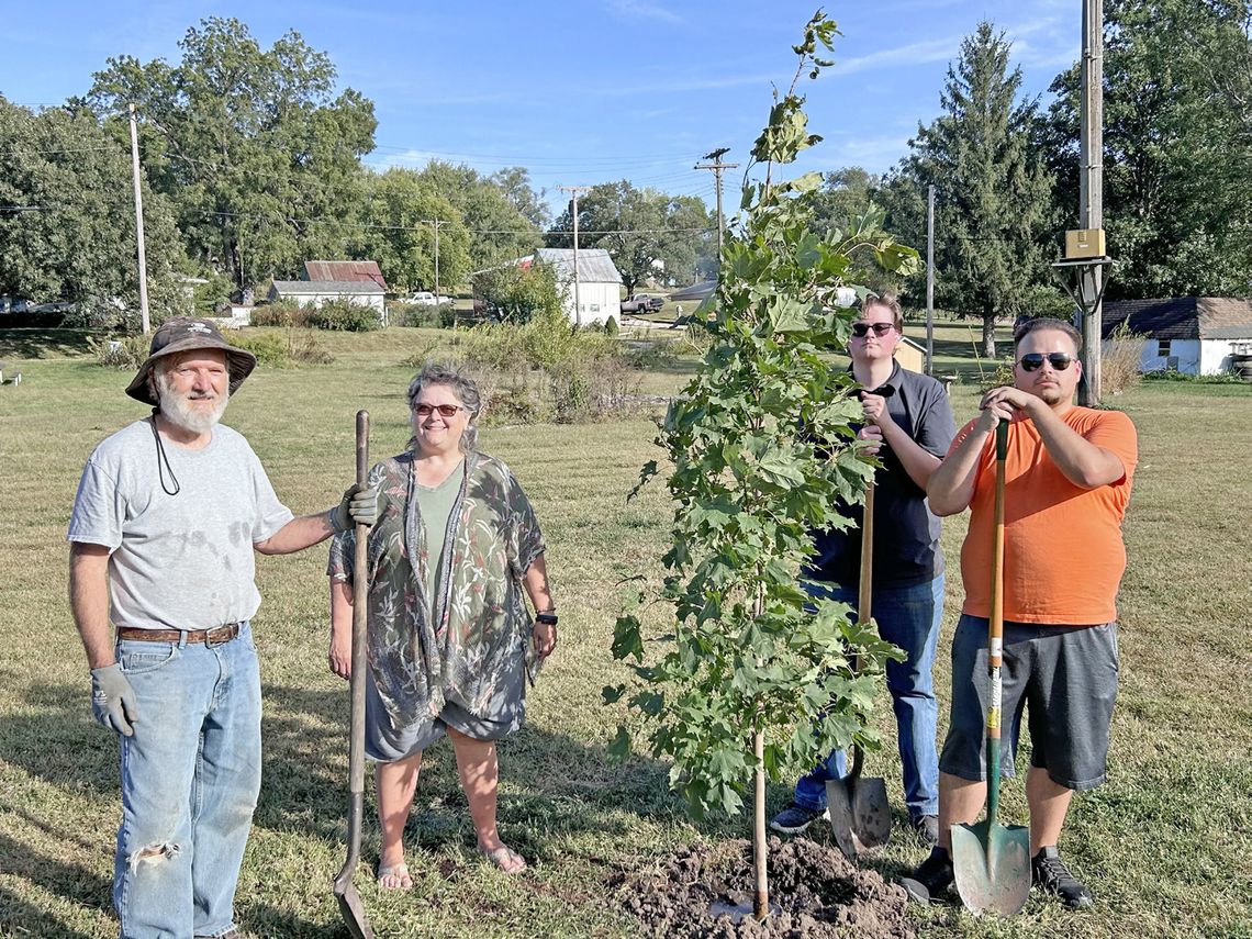 Julian, Village Preservation Committee Receive Seven Trees For Village-Wide Arboretum