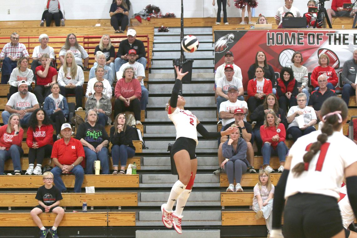 Pelican Records 21 Kills in Win over Diller-Odell Pelican Records 21 Kills in Win over Diller-Odell