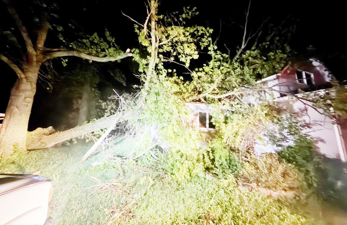 Village of Cook Declares Disaster after July 3, 2026 Storm