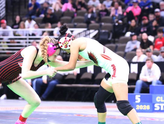 Girls State Wrestling Photos 2026