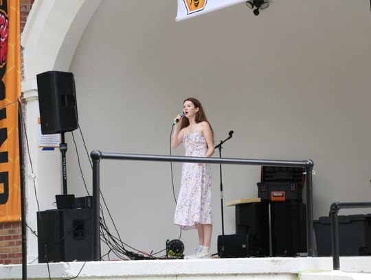2026 Honeybee Festival and Hivemind Song Writer Series