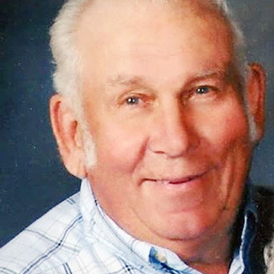 RAYMOND L. BORRENPOHL